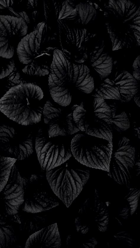 iphone wallpaper 4k black|wallpaper for phone aesthetic black.